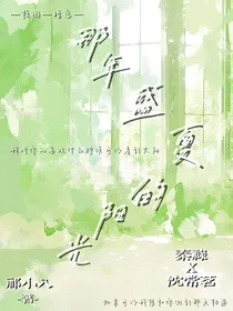 那年盛夏的阳光