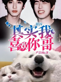 银闪：其实我喜欢你哥