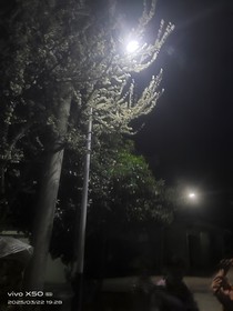 精神怪雪番外