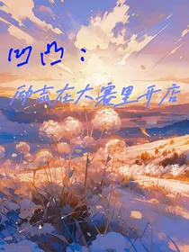 凹凸：励志在凹凸大赛中开店