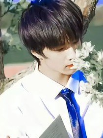 刘耀文：星尘回响