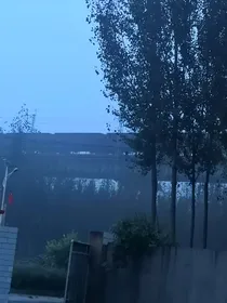 红章