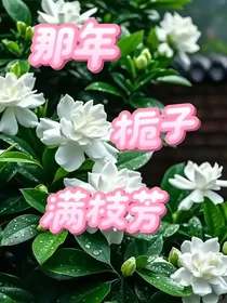 那年栀子满枝芳