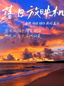 四代：落日放映机