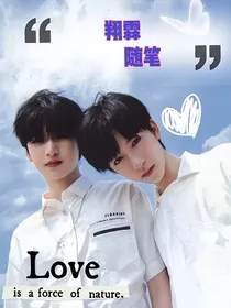 翔霖长篇随笔