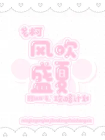 名柯攻略计划：风吹盛夏