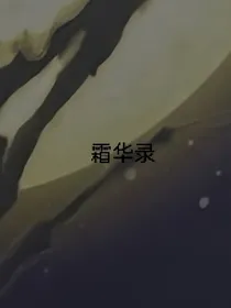 霜华录