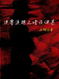 迷雾追踪之暗夜谜案