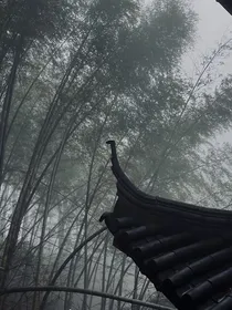长生天下