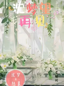 沈梦望再见