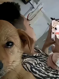 罗翔老师的一段话