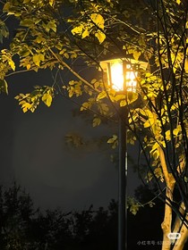 路灯不