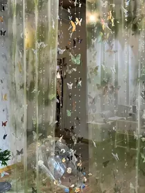 唐晓翼：梦蝴蝶
