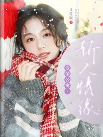 爱情公寓：新人情缘