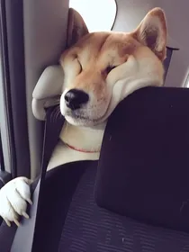 凹凸：当恋人是雷震