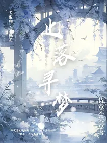 止落寻梦