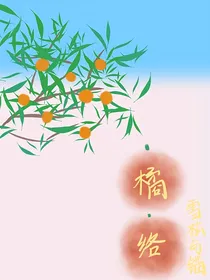 桔络