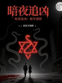 暗夜追凶，蛇年迷影