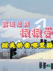 霸道总裁狠狠爱，甜美娇妻哪里逃