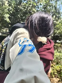 木棉的玫瑰