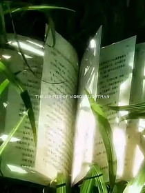 末世直播间：我的异能总翻车