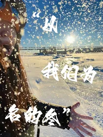 以我们为名的冬