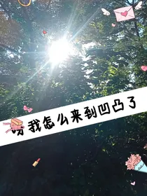 呀我怎么来到凹凸了