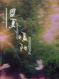 盛夏暖阳（双女主）