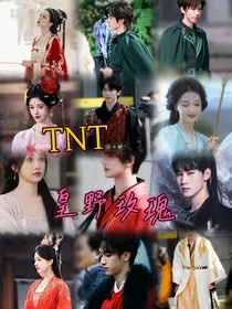 TNT：皇野玫瑰