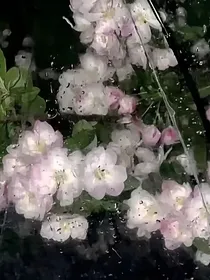 杂七杂八咩