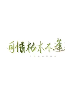 斗龙：落入月亮海