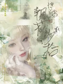 朝花夕拾，惊鸿艳影