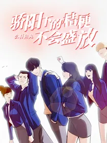 骄阳下的桔梗不会盛放