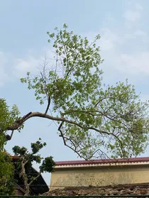 我们不顺路