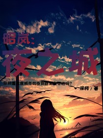 昭岚：夜之城