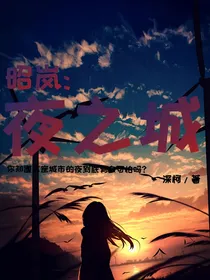 昭岚：夜之城