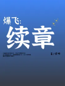 爆飞：续章