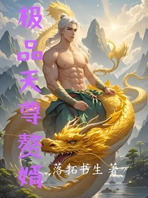 极品天尊赘婿