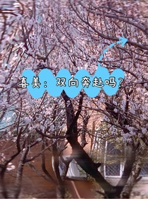 喜美：双向奔赴吗？