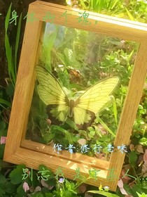一个身体两个魂，别忘我是守墓人
