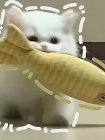 朝日未落