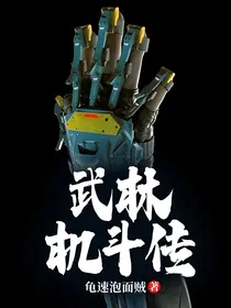 武林机斗传