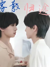 雾散归途