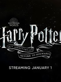 HP：小透明无人问津的生活