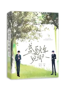 盛夏光年晚晴天