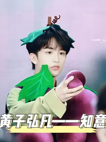 黄子弘凡——子意