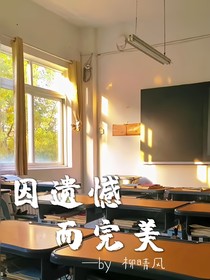 因遗憾而完美