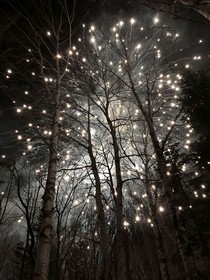 梦境里的记忆