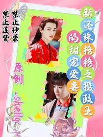 新还珠格格之摄政王的甜宠爱妃
