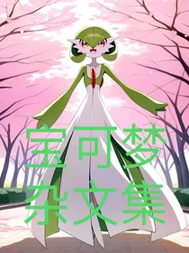 宝可梦杂文集